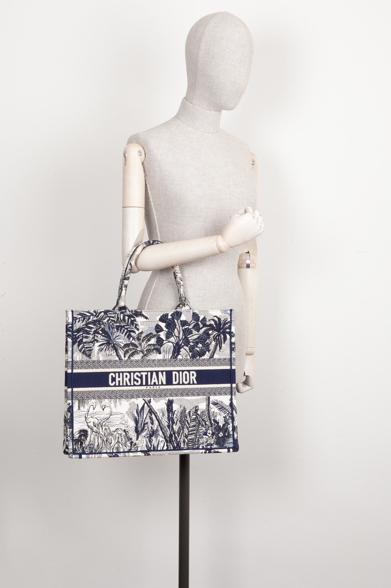 Dior Book Tote Canvas Tote