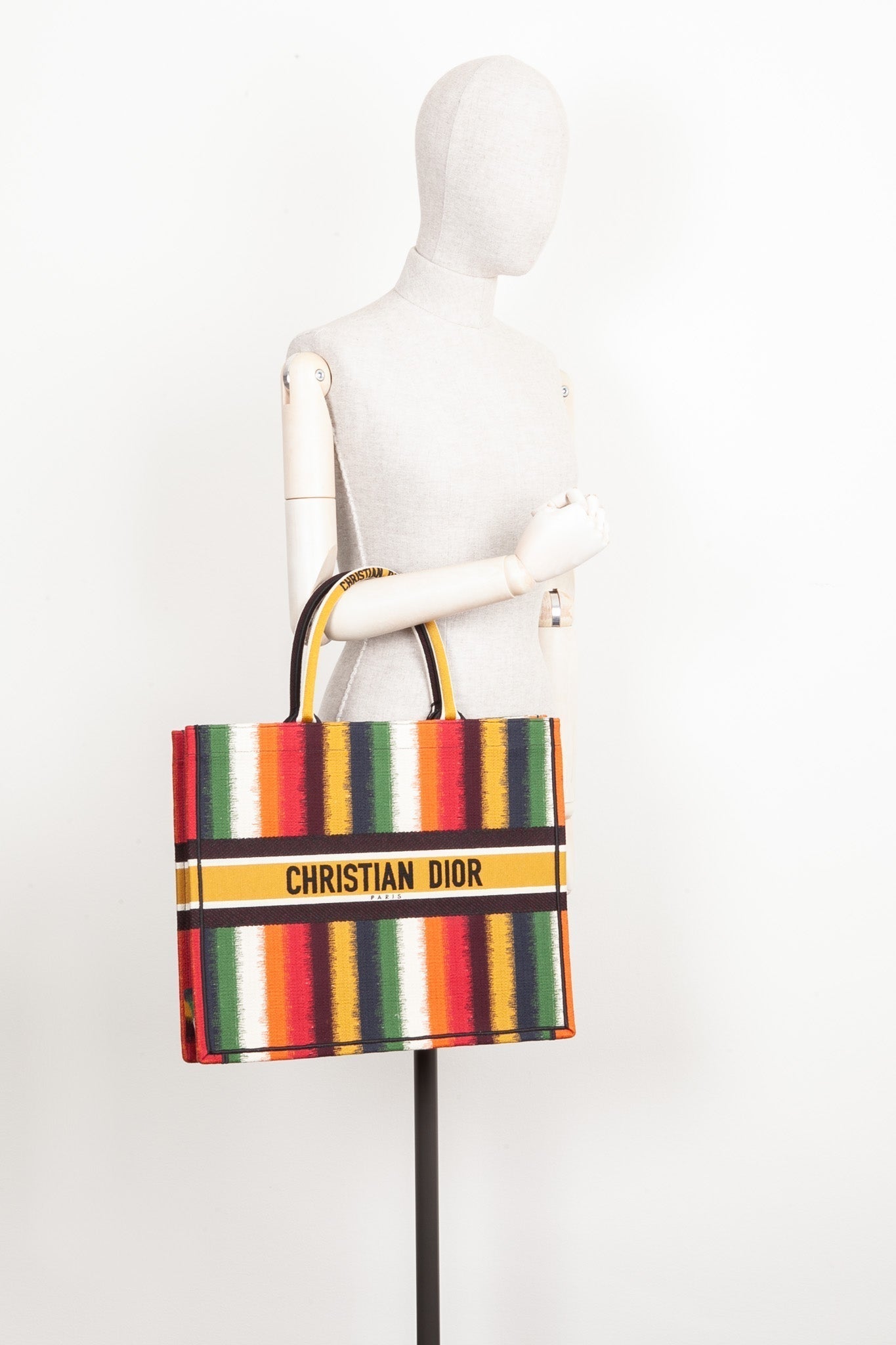 Dior Book Tote Canvas Tote
