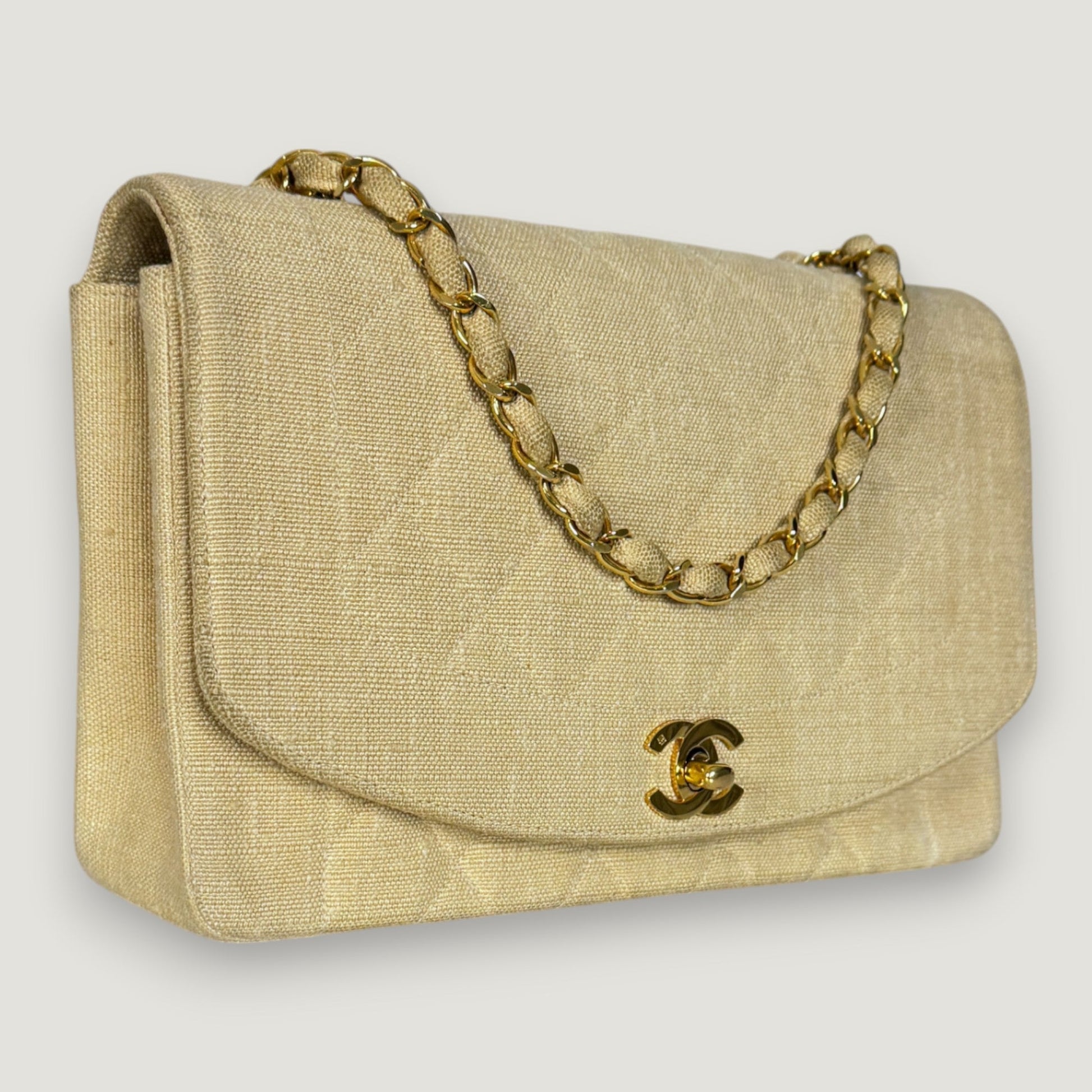 Chanel Diana Handbag Bag - Ewore Bags
