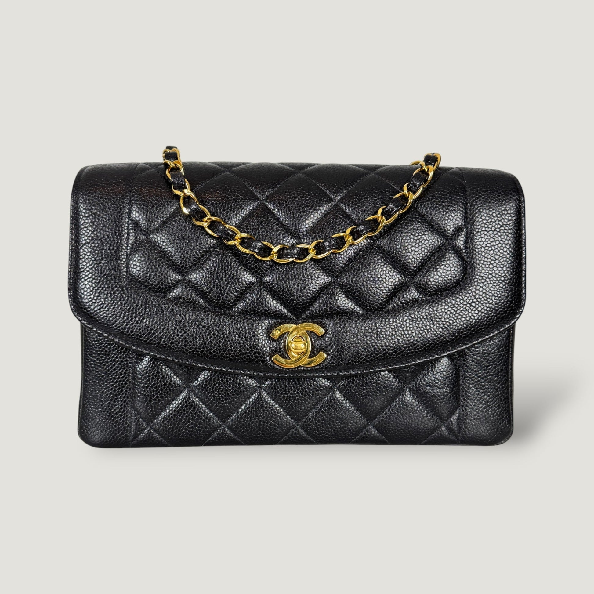 Chanel Diana Handbag Bag - Ewore Bags
