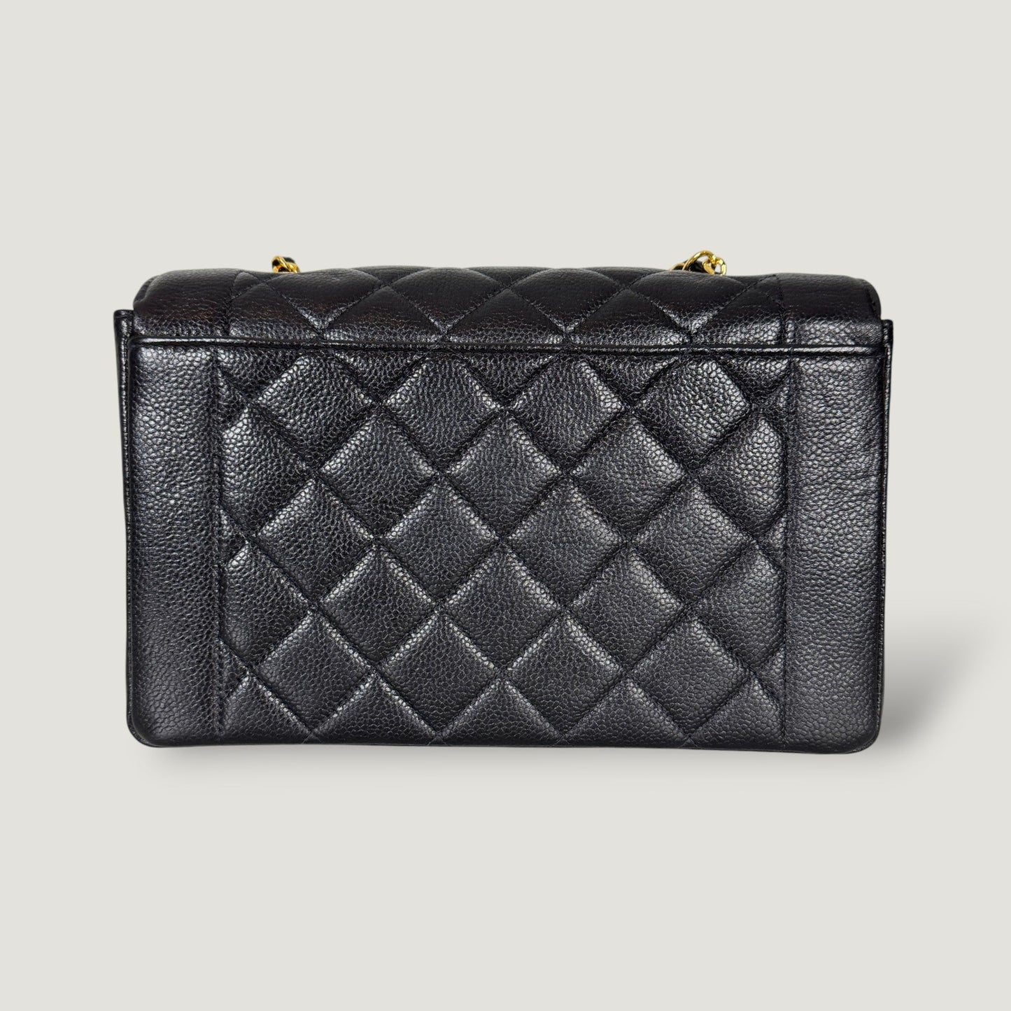 Chanel Diana Handbag Bag - Ewore Bags