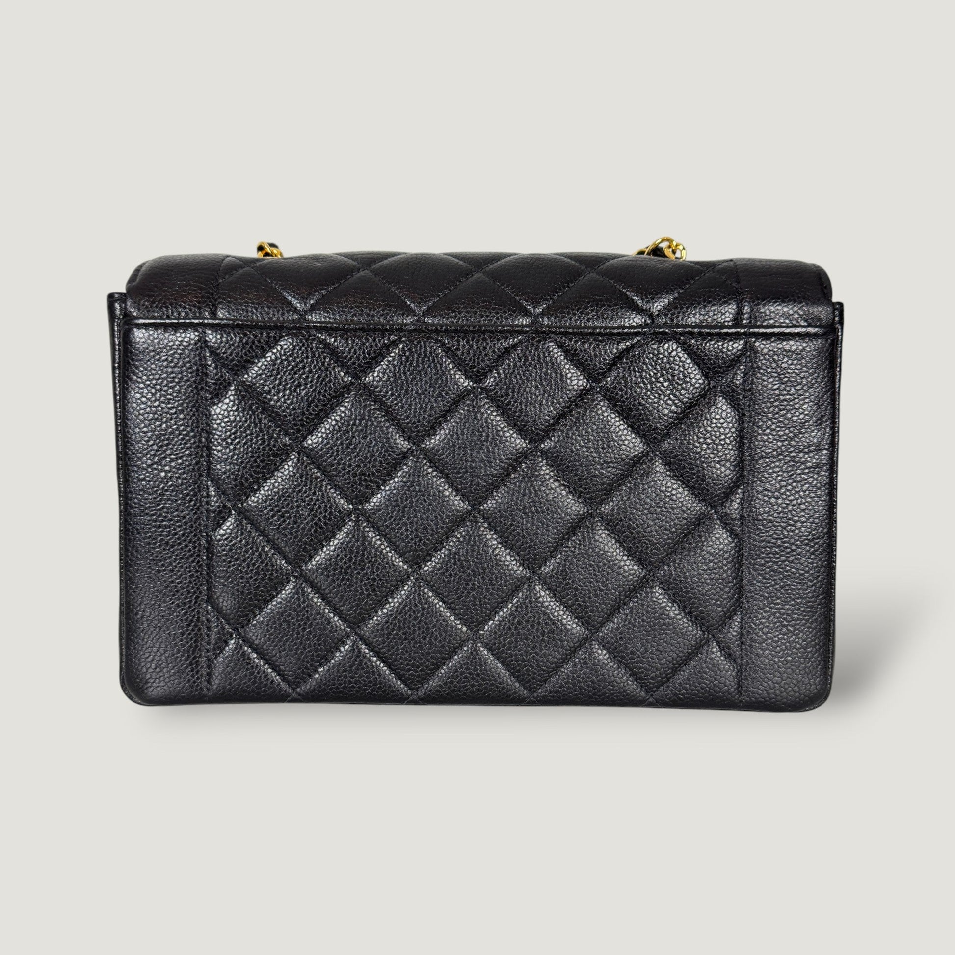 Chanel Diana Handbag Bag - Ewore Bags