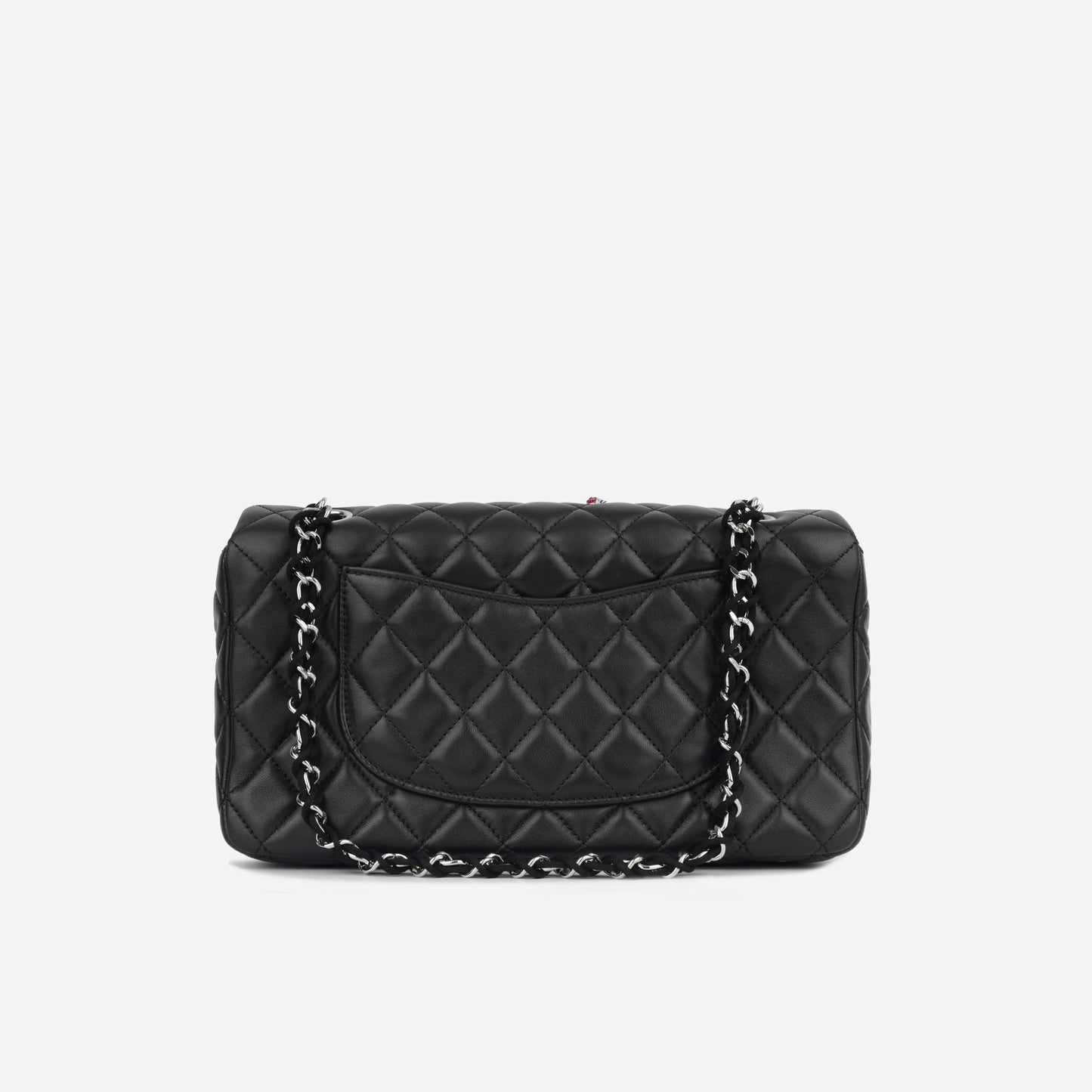 Chanel Medium Lady Bug Flap