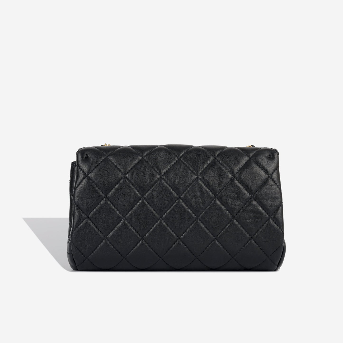 Chanel Seasonal 19 Flap