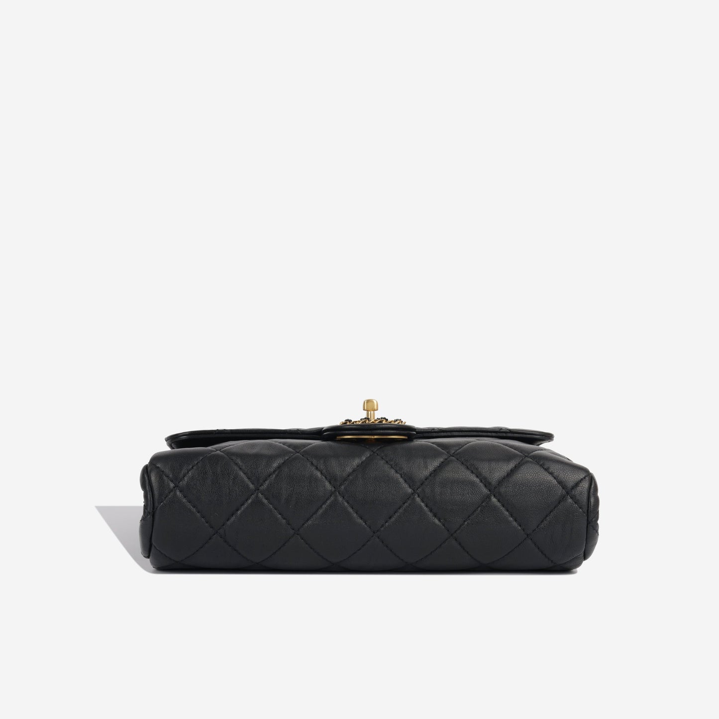 Chanel Seasonal 19 Flap