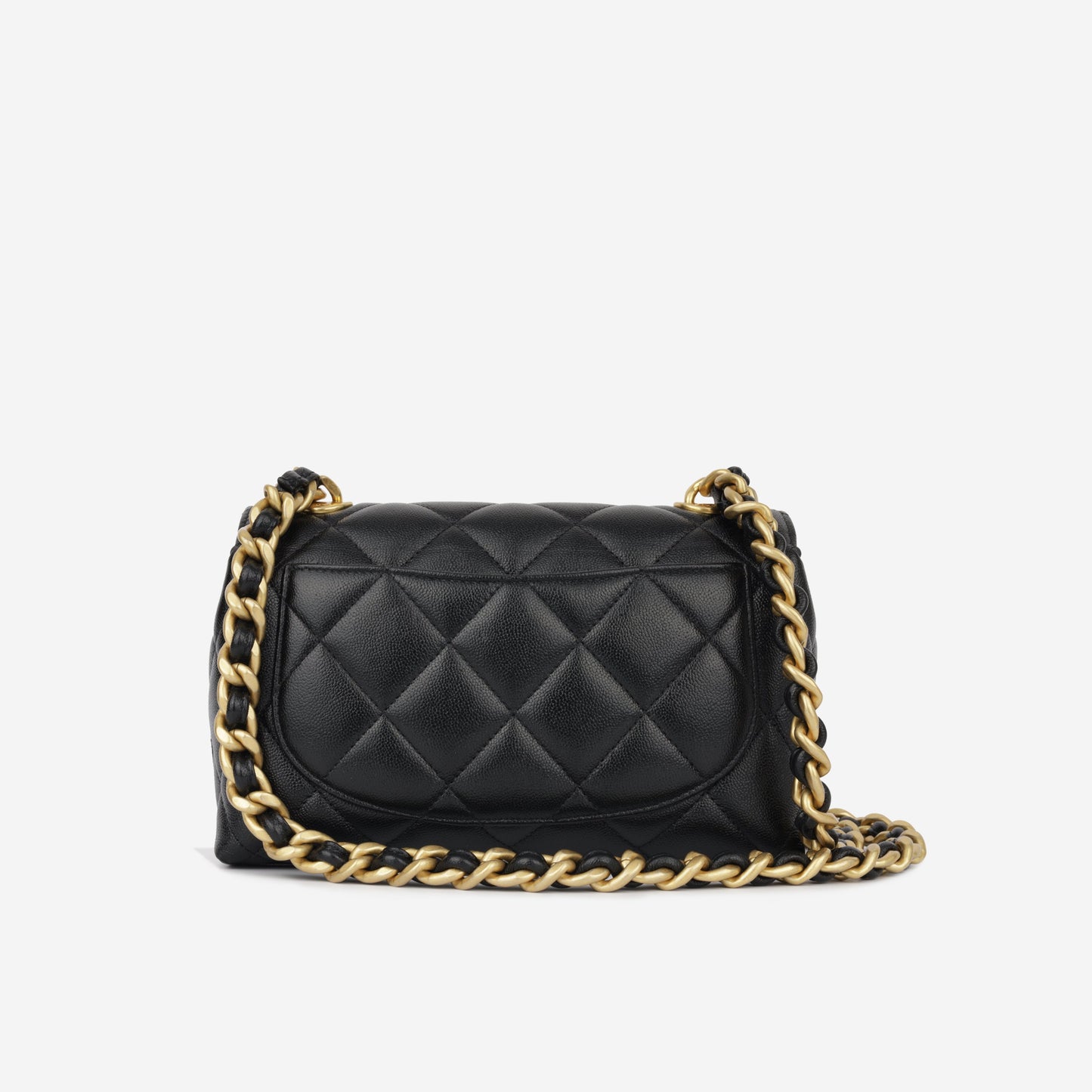 Chanel Seasonal 2023 Flap Bag