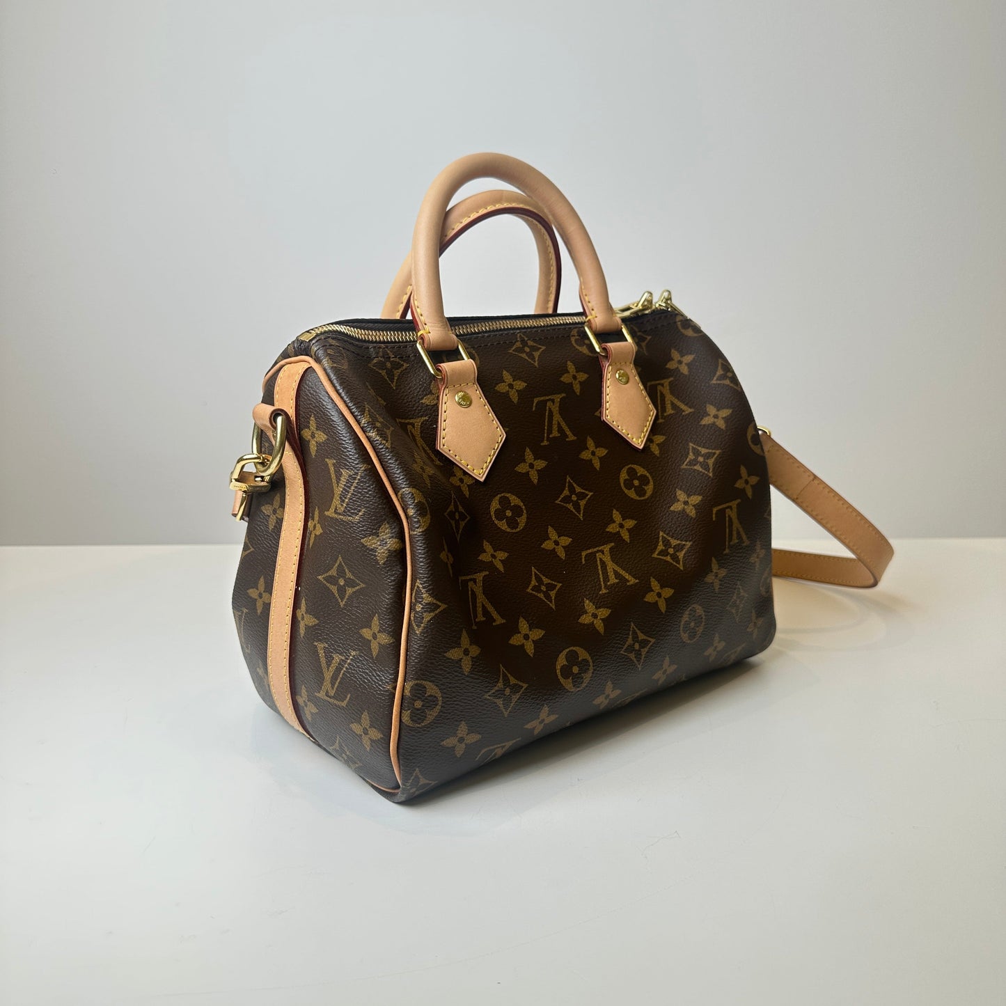 LV Monogram Speedy 25 Bag - TIKTOK follower discount