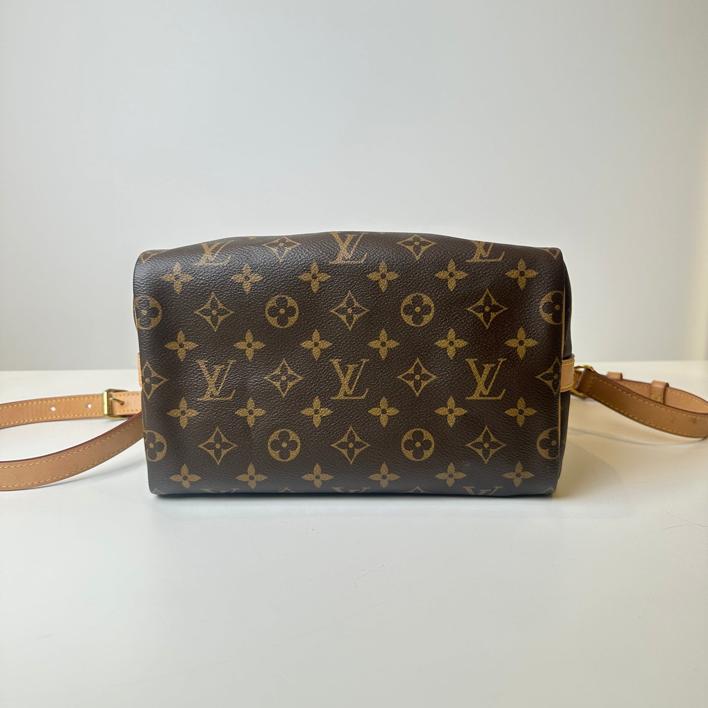 LV Monogram Speedy 25 Bag - TIKTOK follower discount