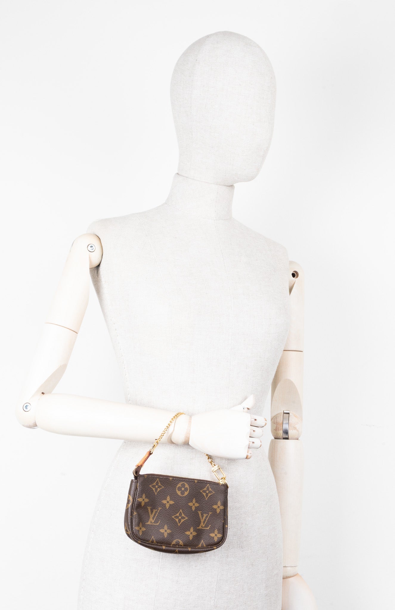 LOUIS VUITTON Pochette Accessoires MNG Canvas