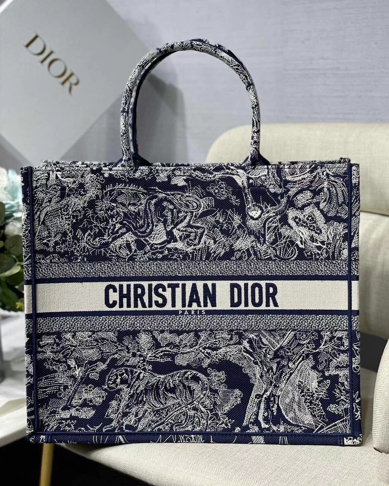 Dior Book Tote Tote