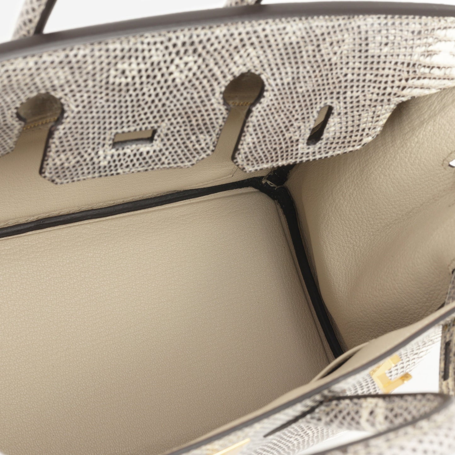 Hermès Birkin 25 - Ombre Lizard Salvator | Gold Hardware