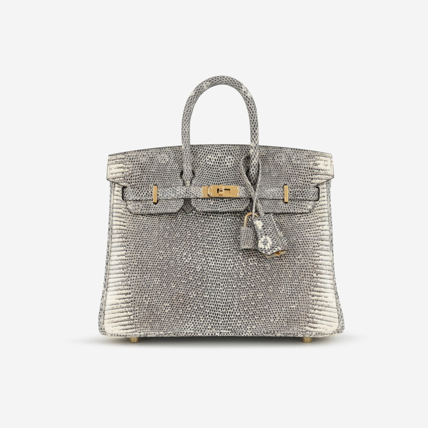 Hermès Birkin 25 - Ombre Lizard Salvator | Gold Hardware