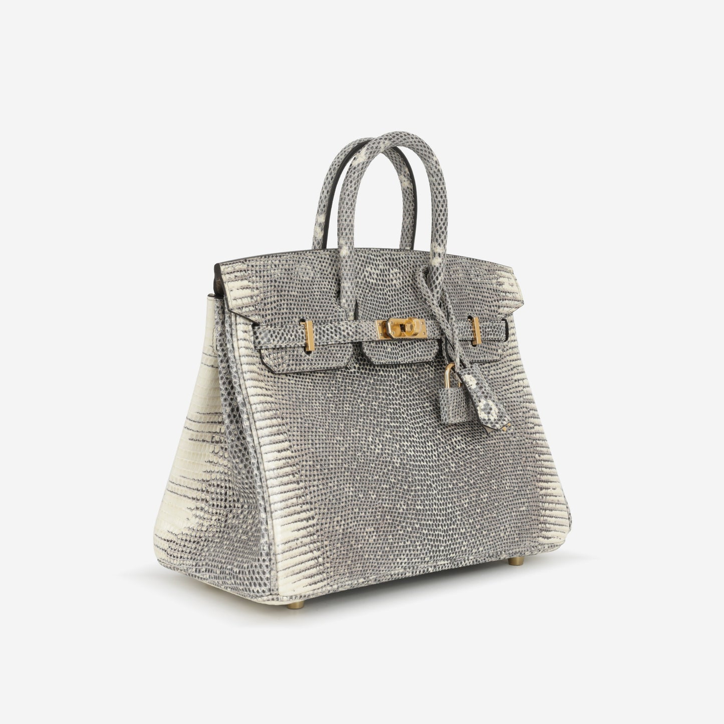 Hermès Birkin 25 - Ombre Lizard Salvator | Gold Hardware