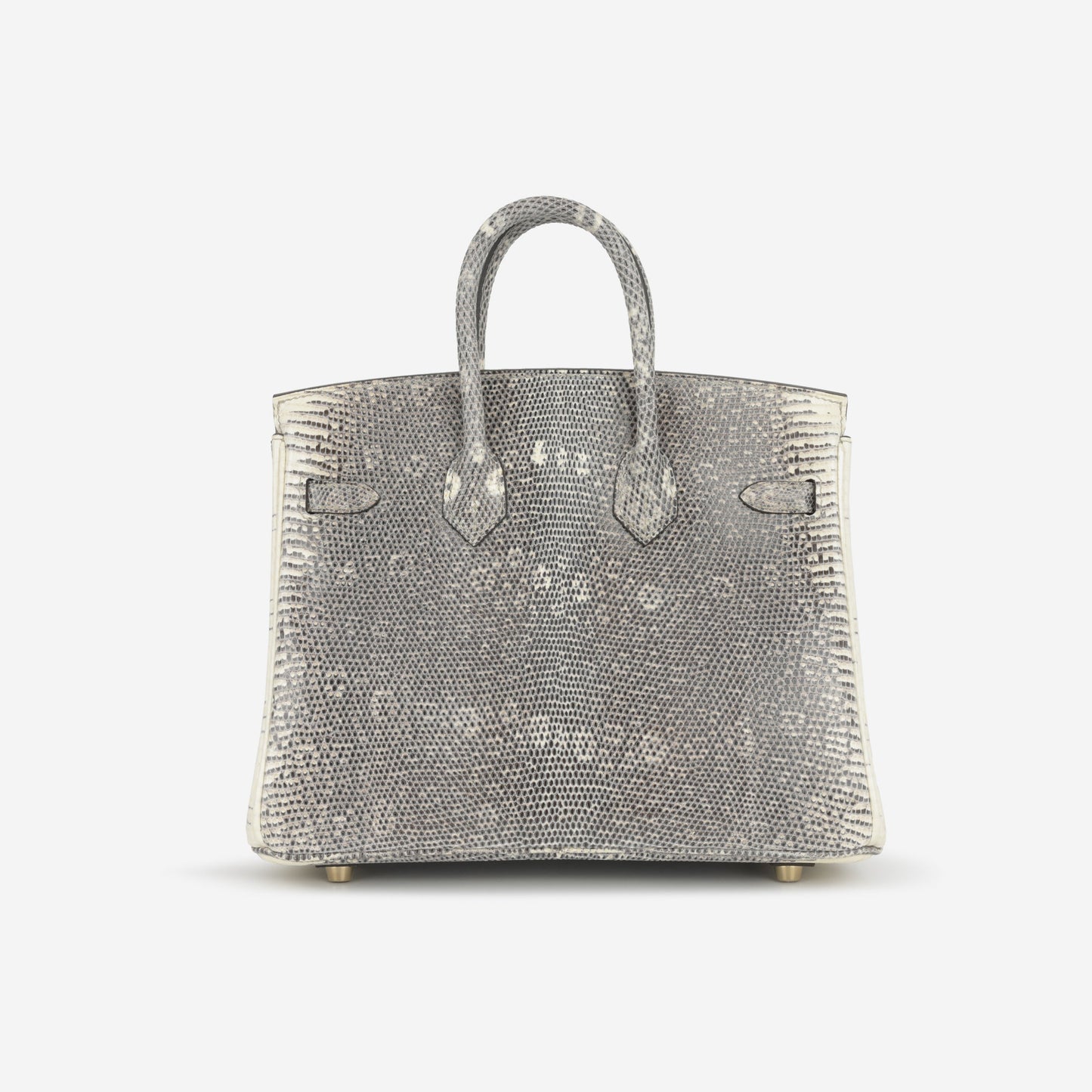 Hermès Birkin 25 - Ombre Lizard Salvator | Gold Hardware