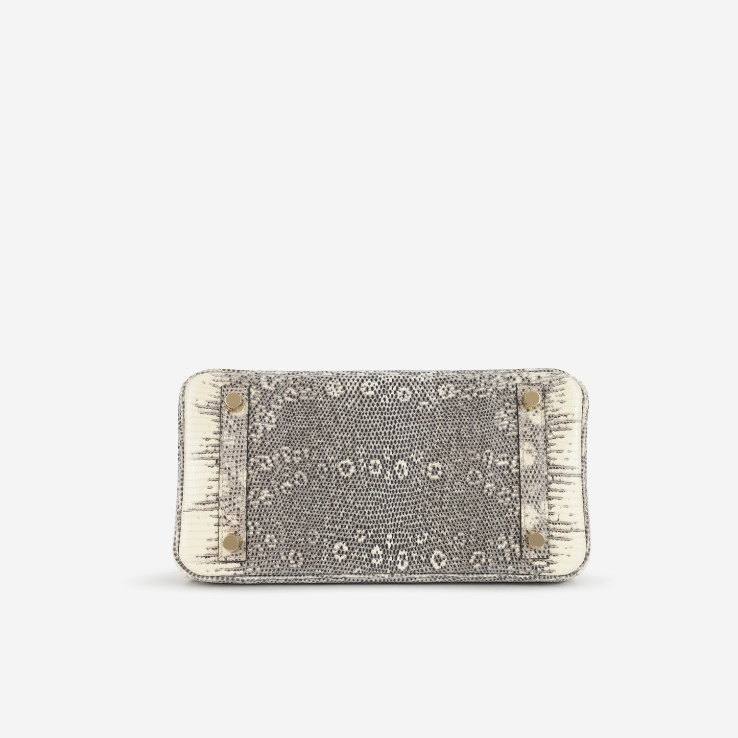 Hermès Birkin 25 - Ombre Lizard Salvator | Gold Hardware