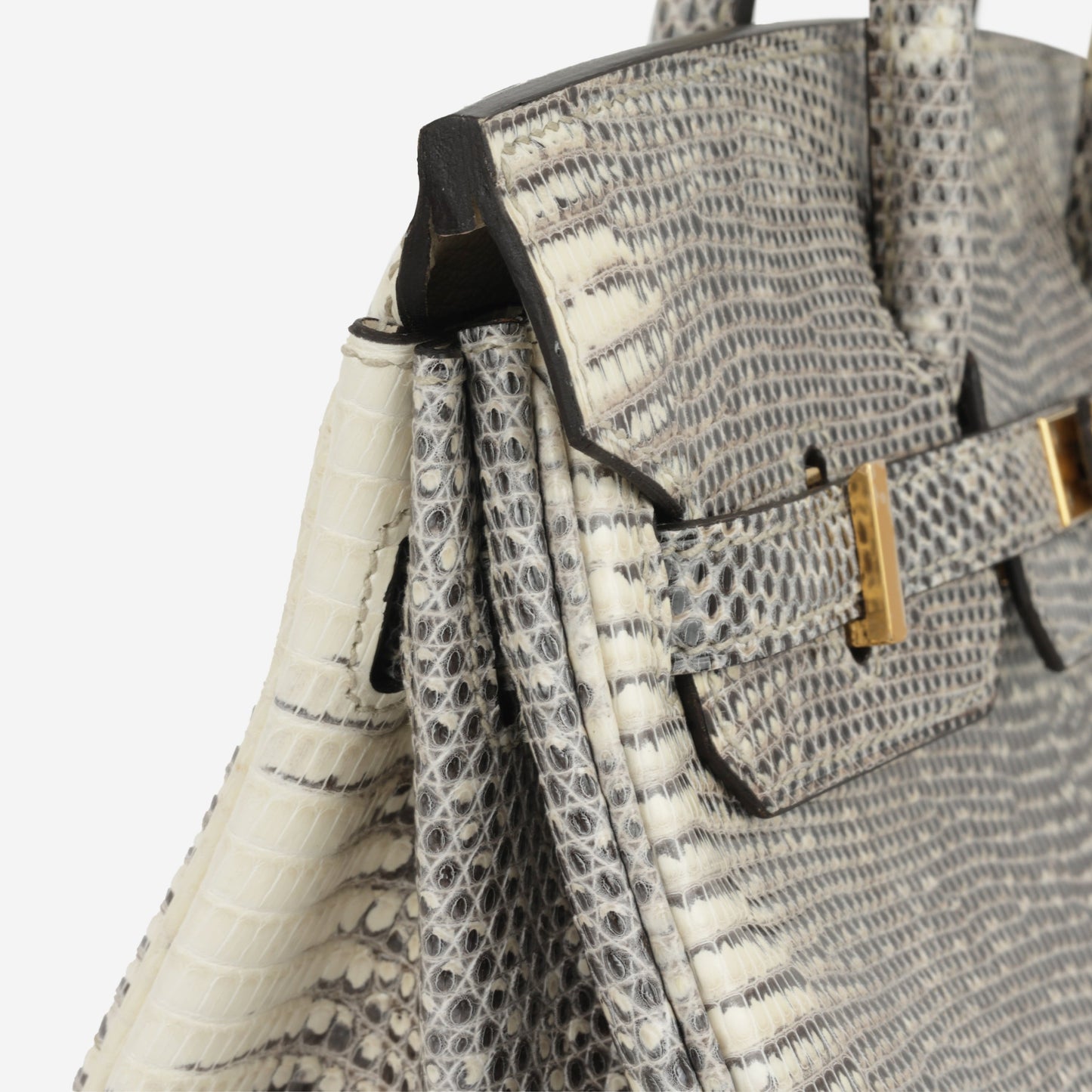 Hermès Birkin 25 - Ombre Lizard Salvator | Gold Hardware