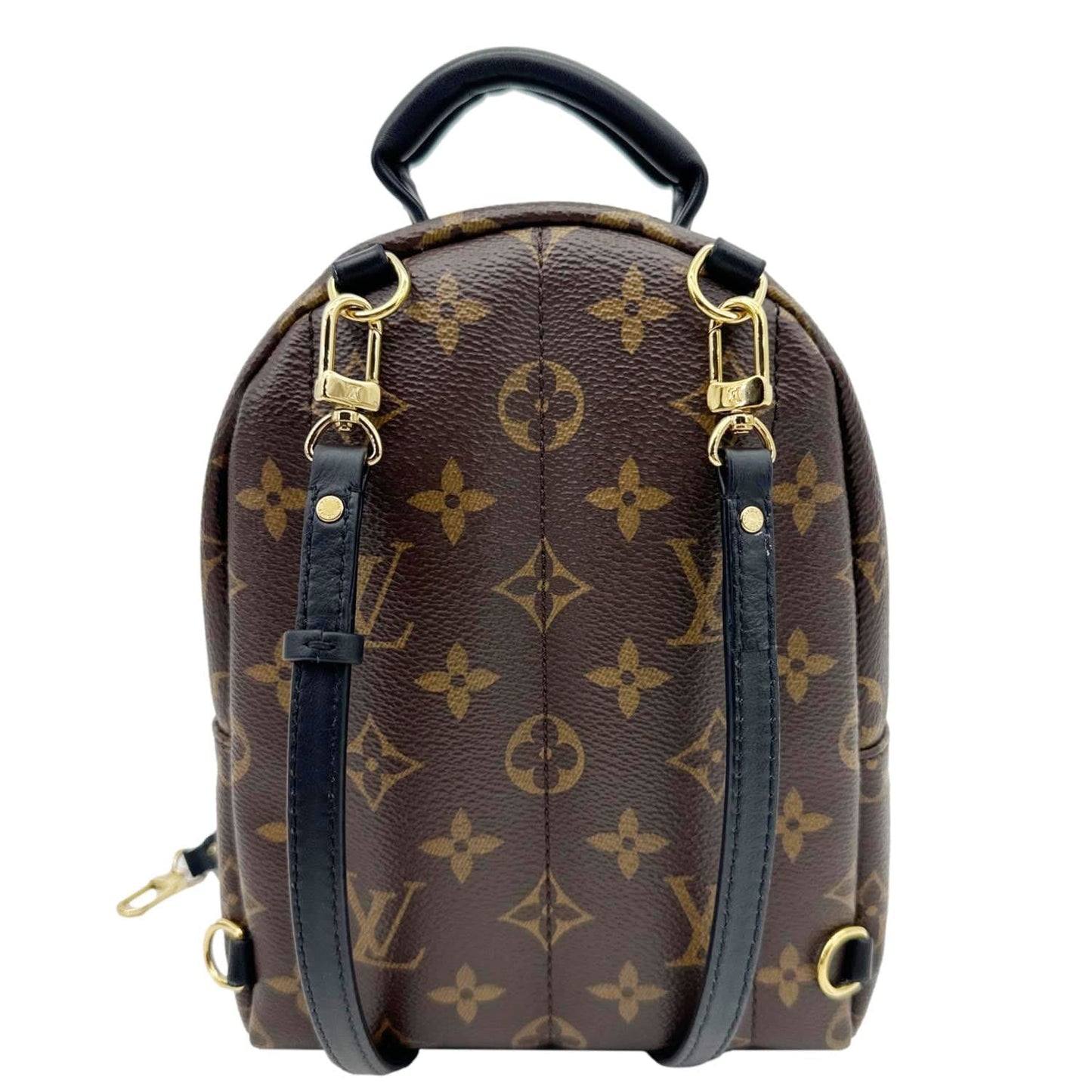 LOUIS VUITTON Palm Spring Mini Monogram Canvas Backpack Brown
