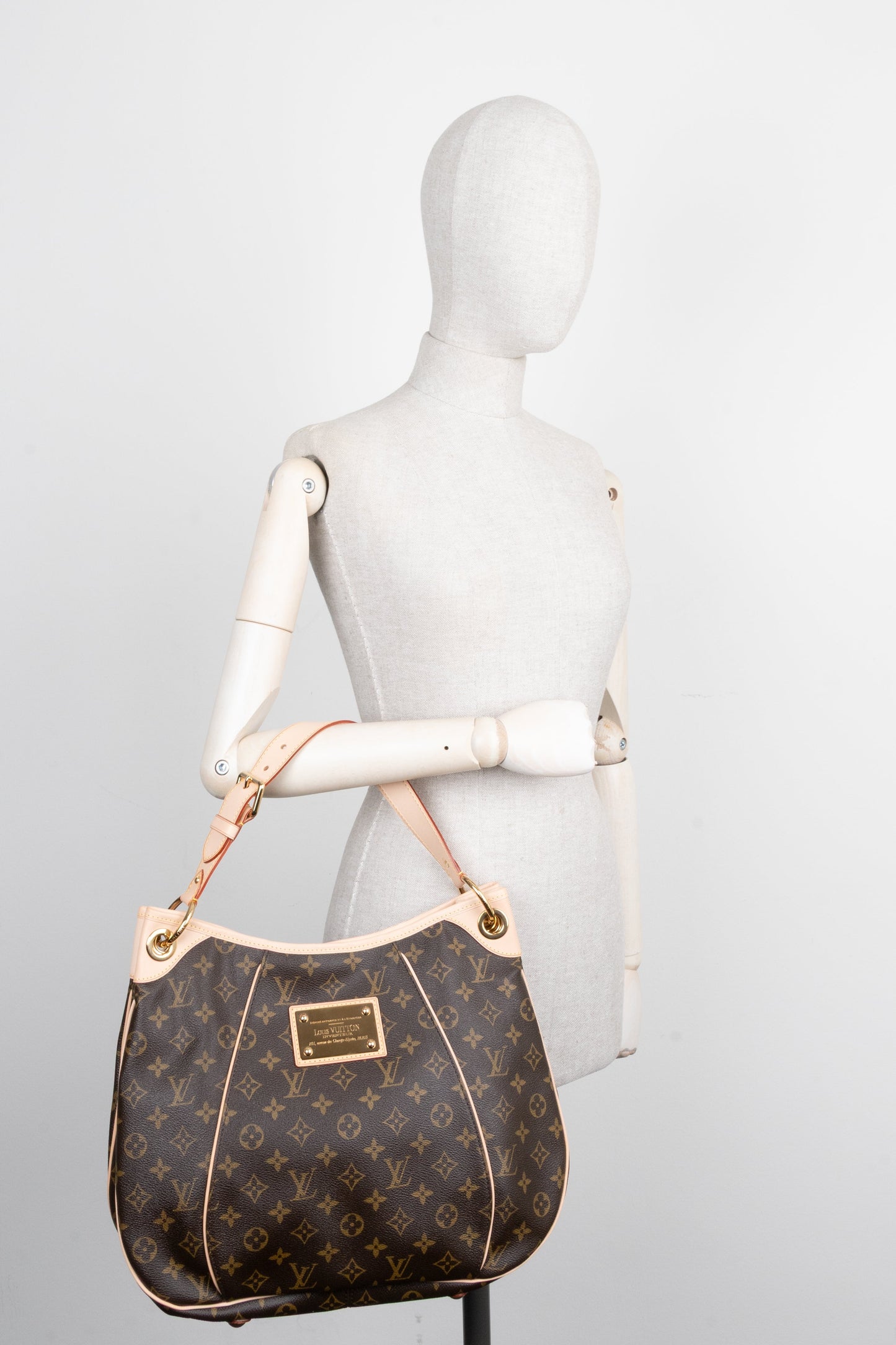 LOUIS VUITTON Galleria PM Hobo Bag MNG Canvas