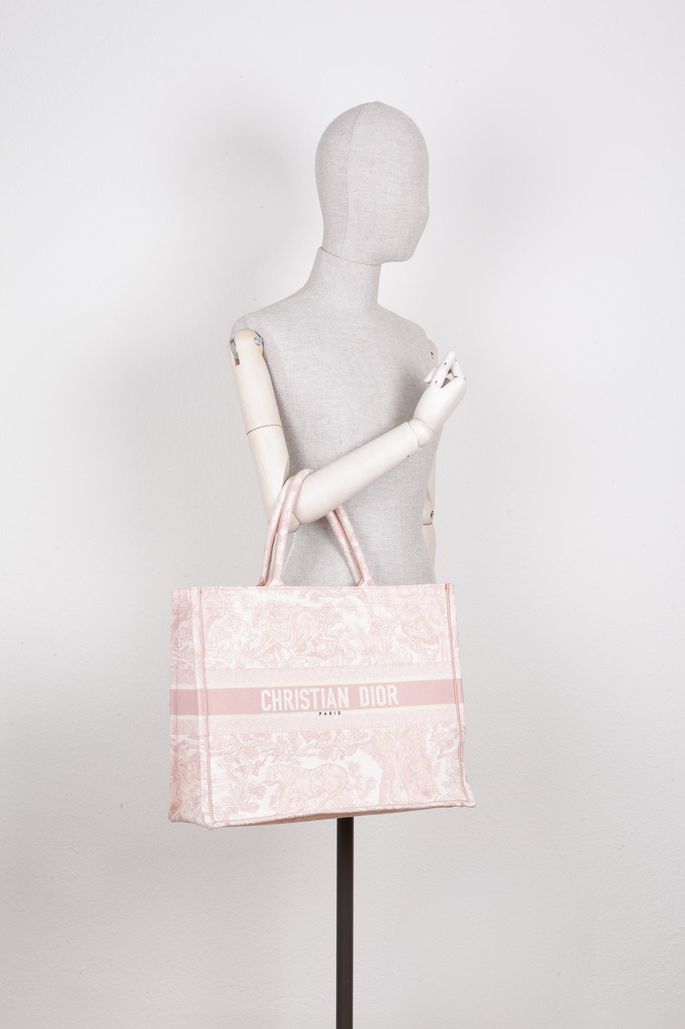 Dior Book Tote Mini Canvas Tote