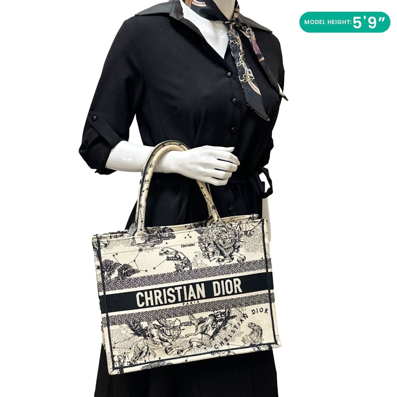 CHRISTIAN DIOR Book Medium Embroidered Canvas Tote Bag White