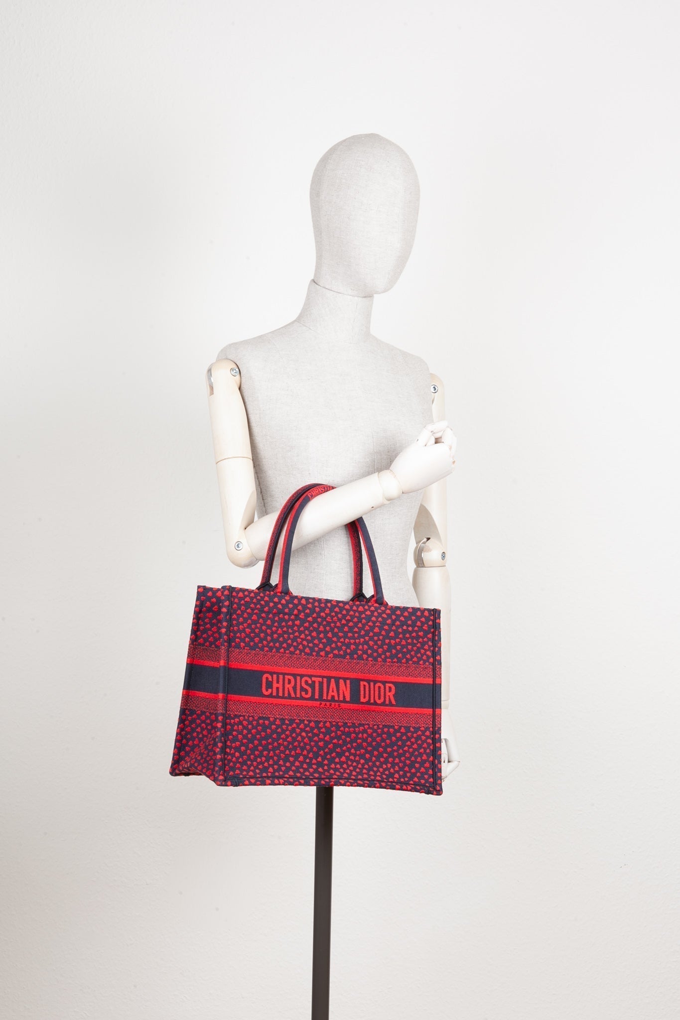 Dior Book Tote Canvas Tote