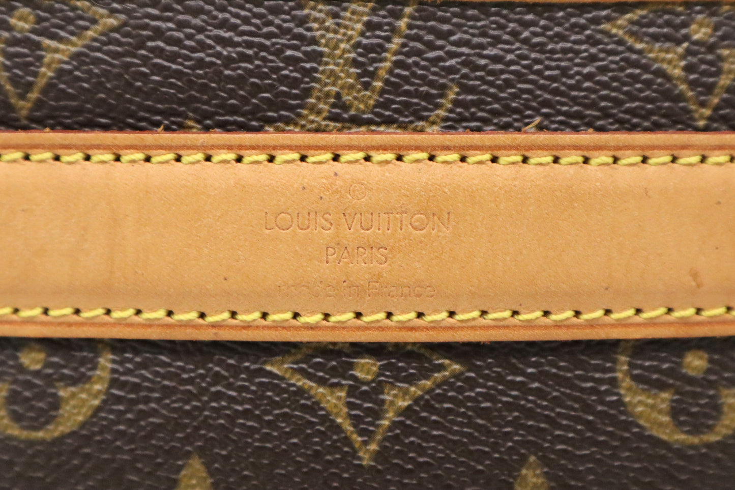 Louis Vuitton Sac Chien 40 in Monogram Canvas
