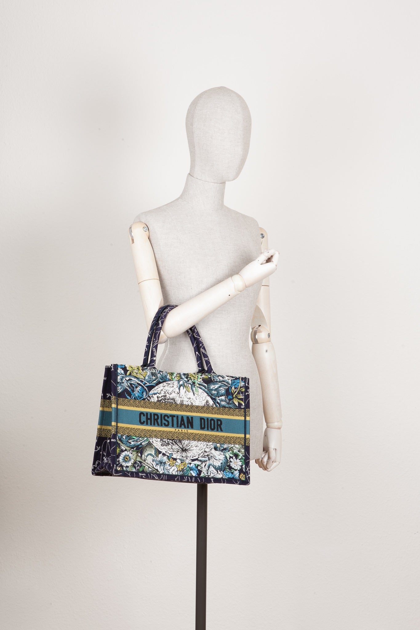 Dior Book Tote Canvas Tote