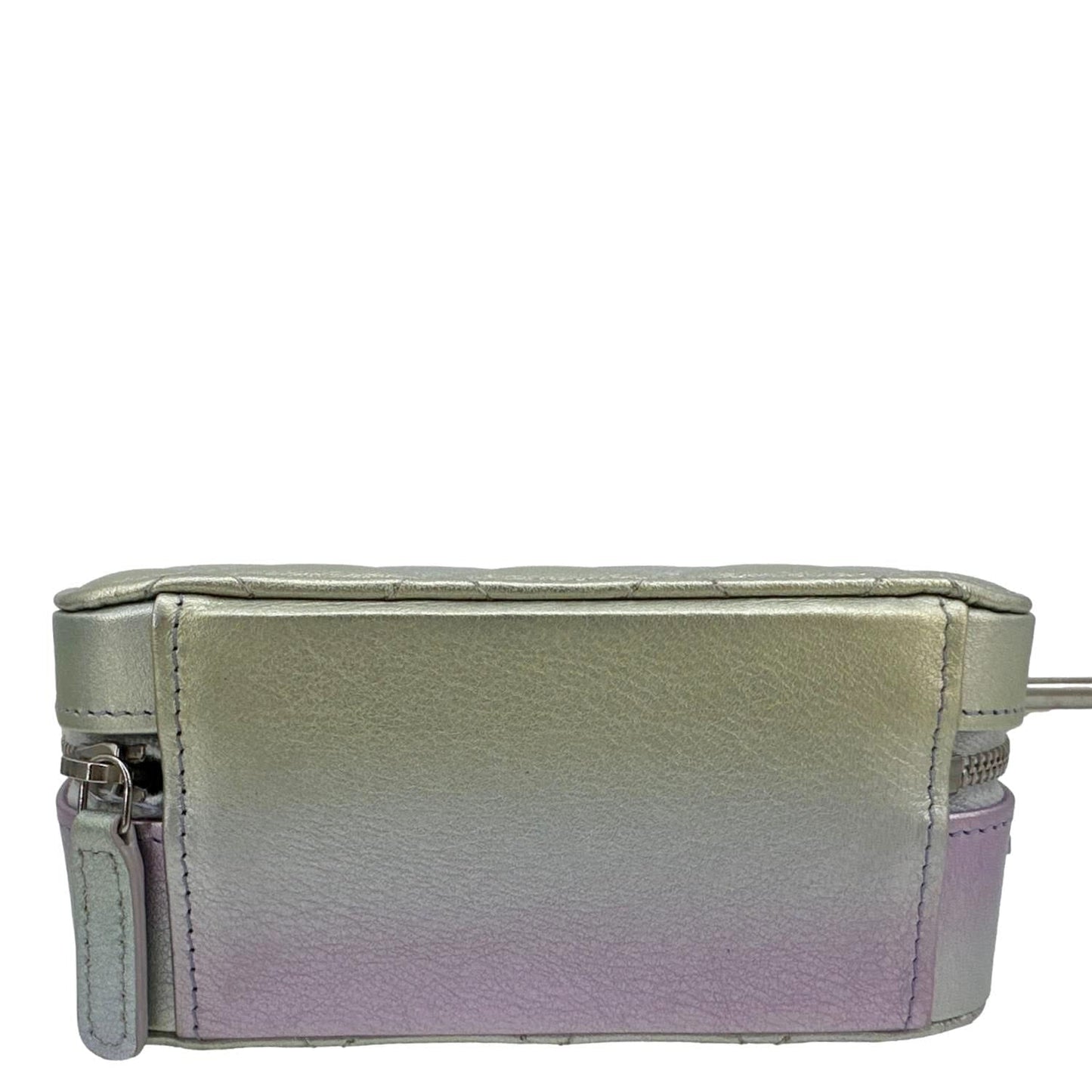 CHANEL Quilted Calfskin Gradient Metallic Leather Camera Bag Multicolor