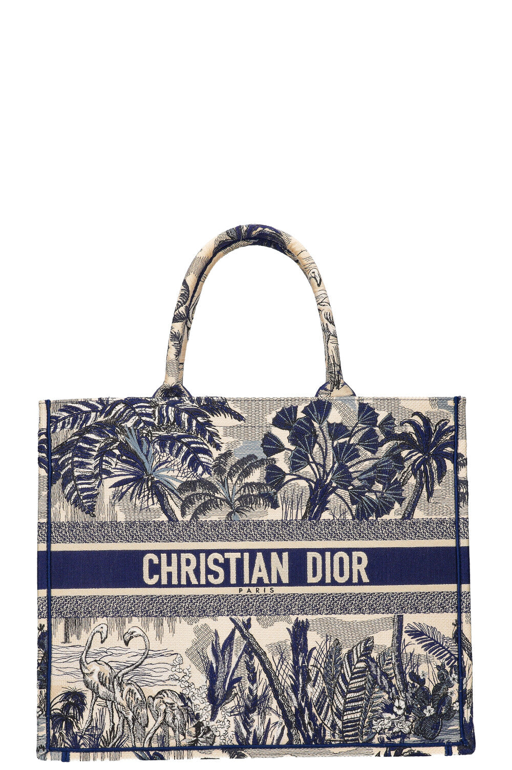Dior Book Tote Canvas Tote