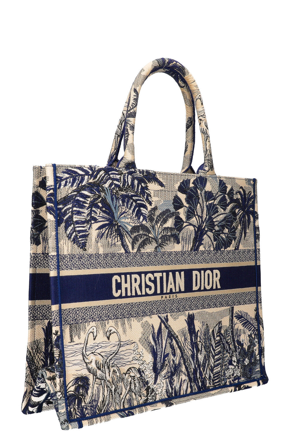 Dior Book Tote Canvas Tote