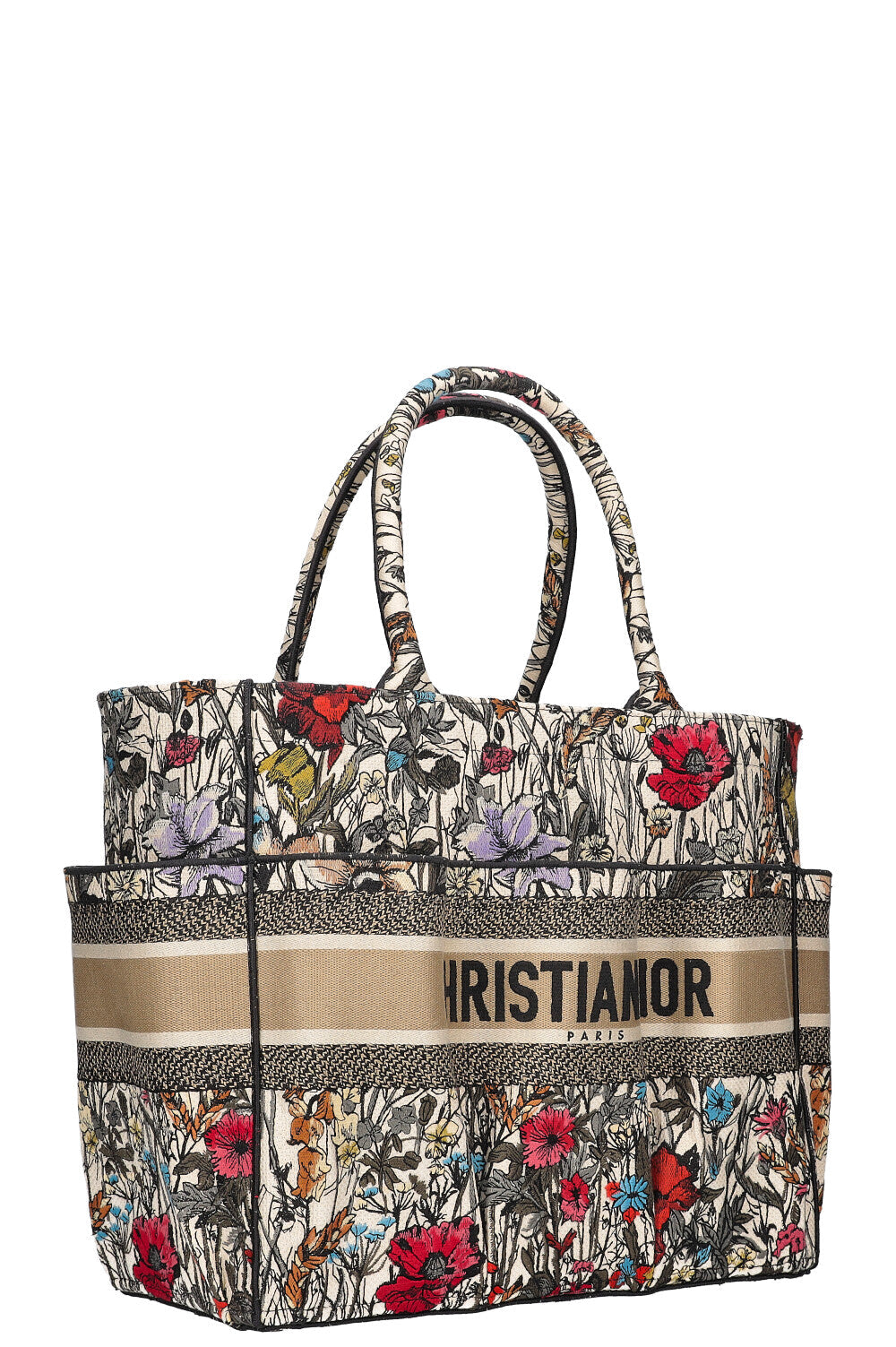 Dior Book Tote Canvas Tote