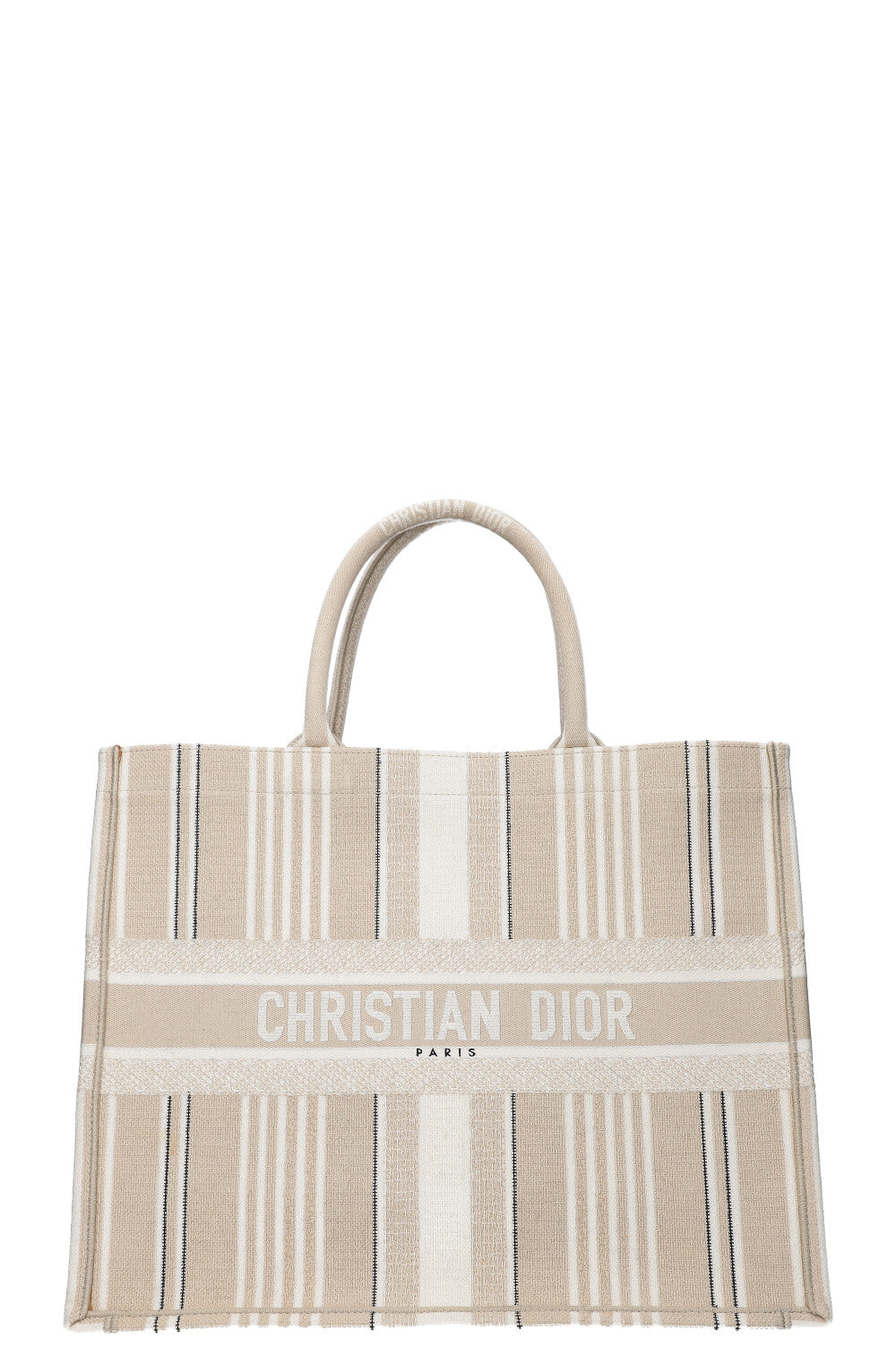 Dior Book Tote Mini Canvas Tote