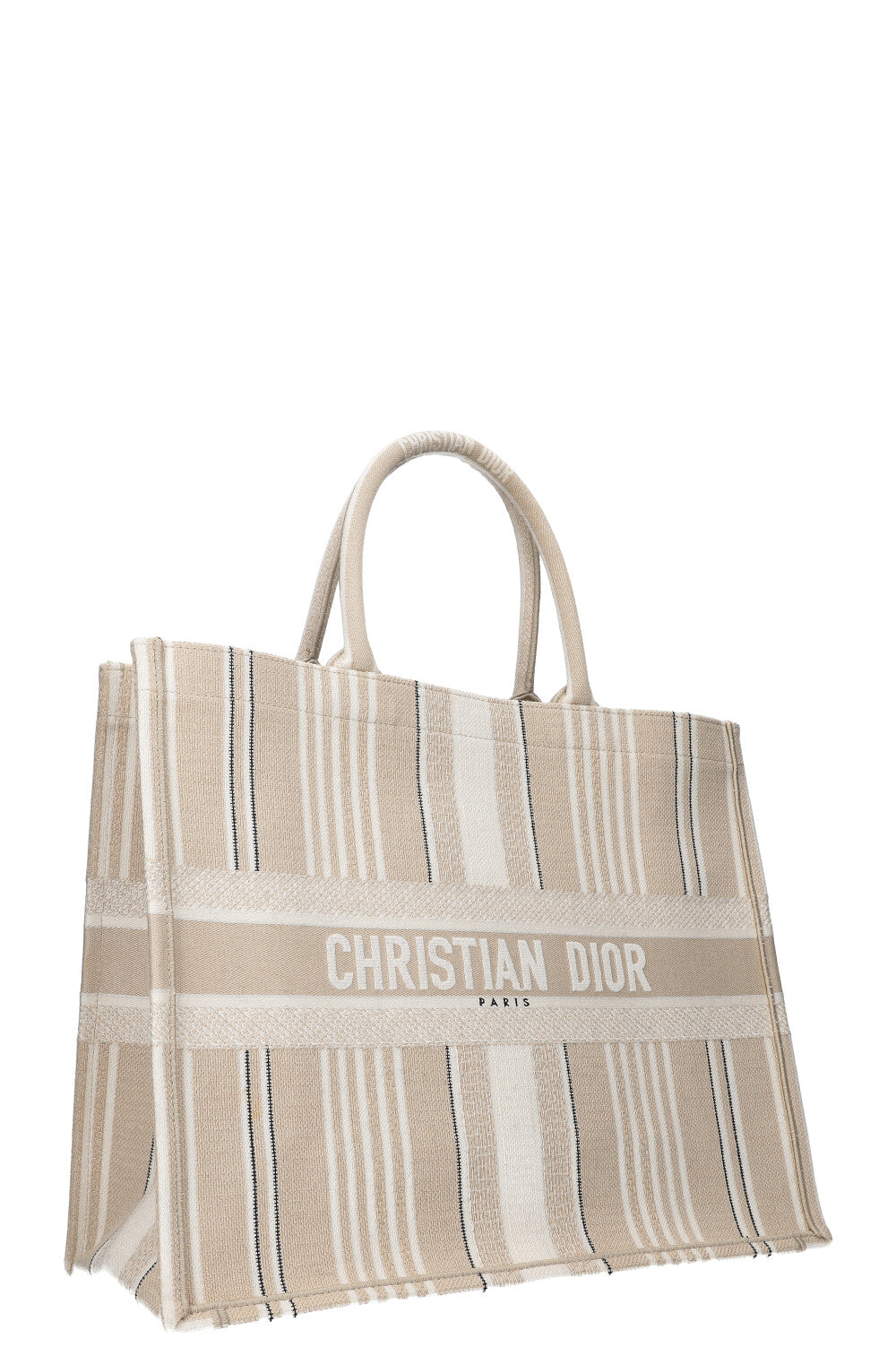 Dior Book Tote Mini Canvas Tote