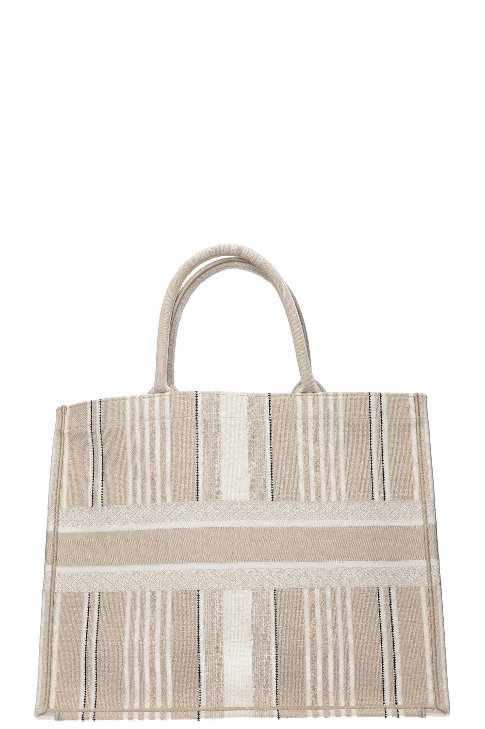 Dior Book Tote Mini Canvas Tote