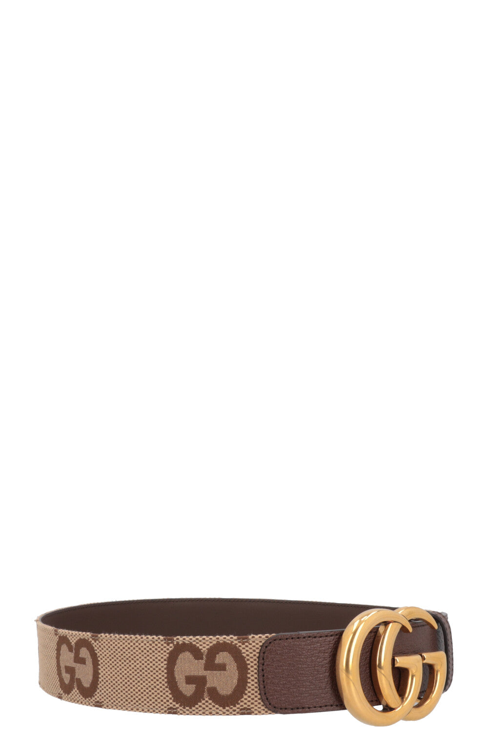 GUCCI Jumbo GG Marmont Belt Brown