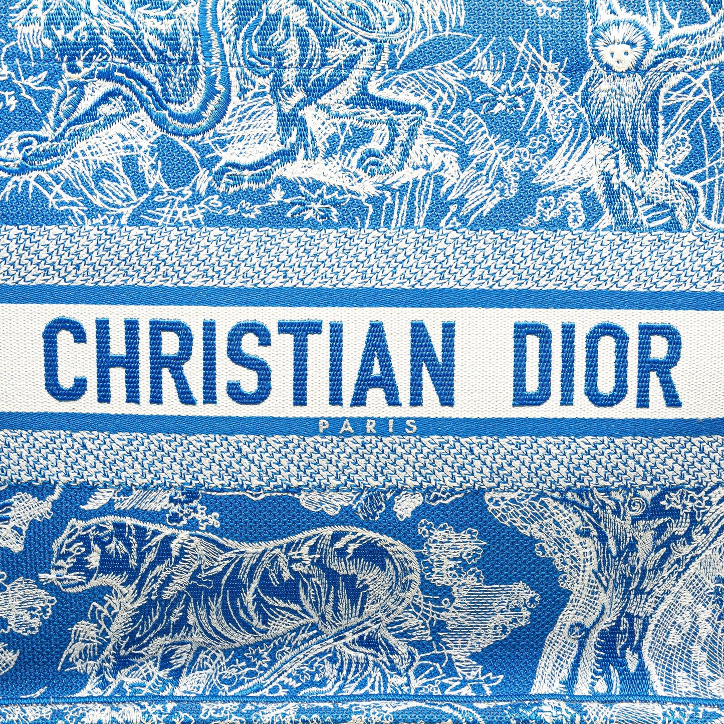 Blue Dior Medium Canvas Embroidered Dioriviera Toile De Jouy Book Tote