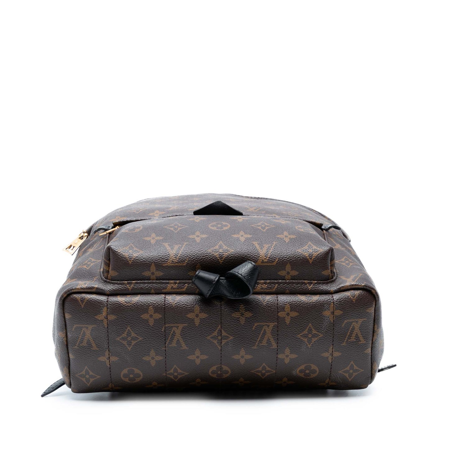 Brown Louis Vuitton Monogram Palm Springs MM Backpack