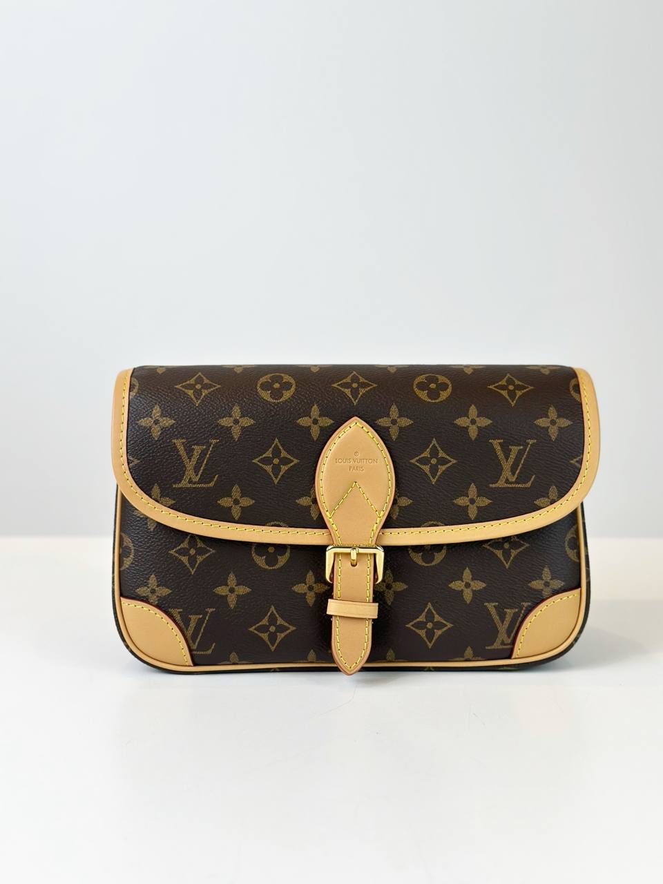 LOUIS VUITTON MONOGRAM DIANE SHOULDER BAG