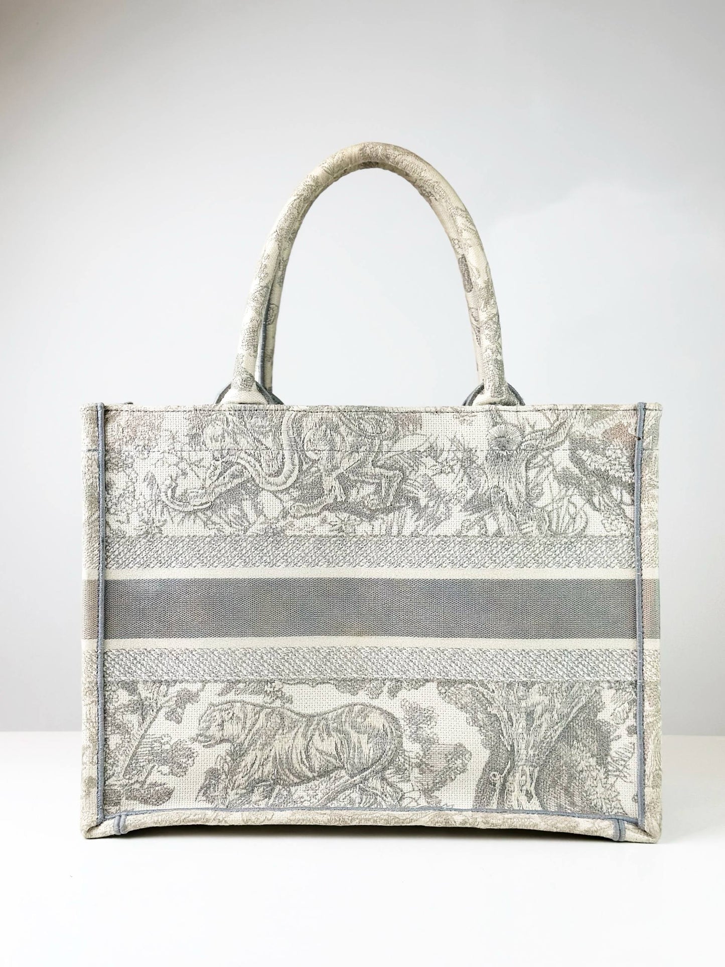 DIOR MEDIUM BOOK TOTE BAG