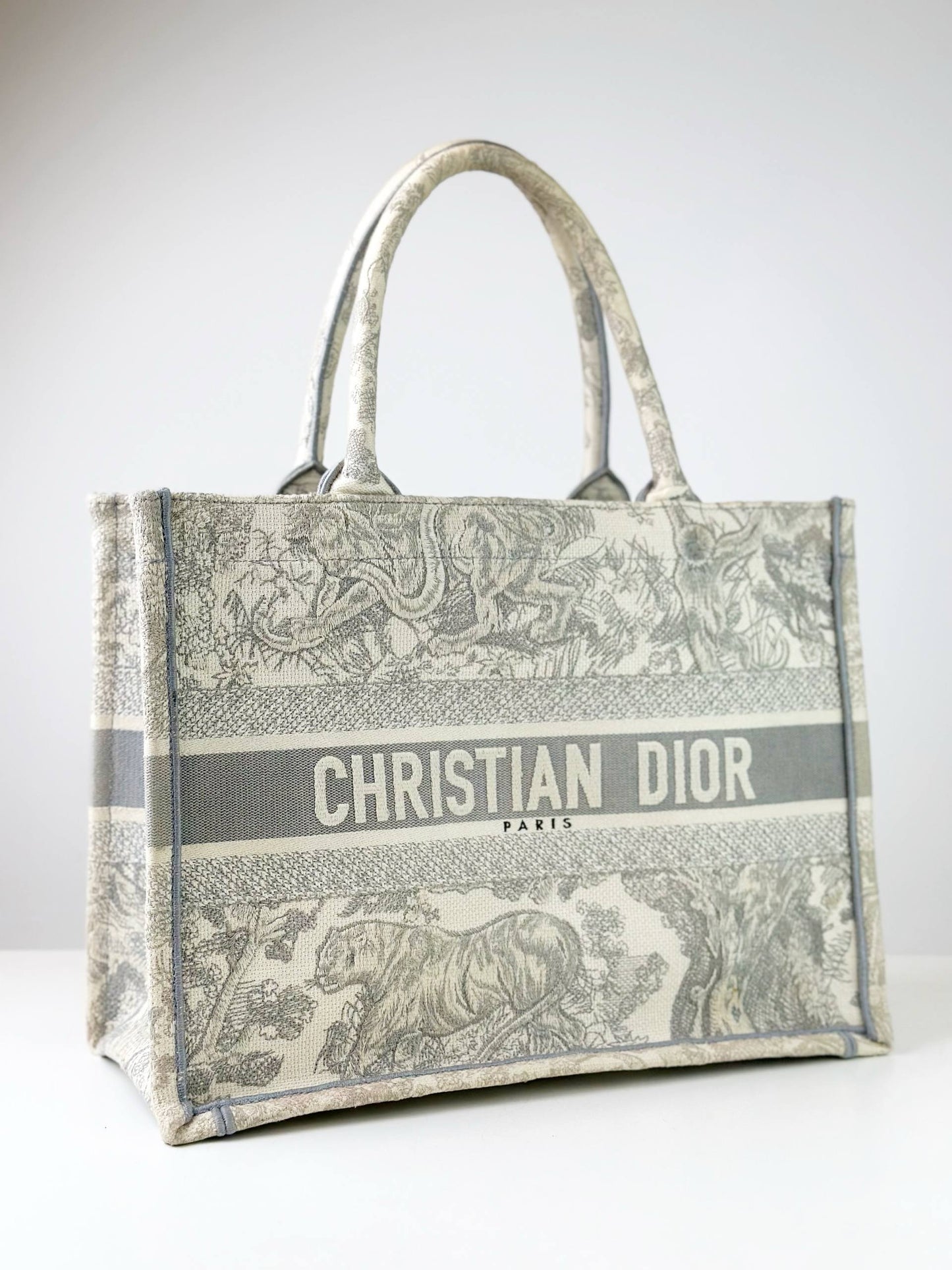 DIOR MEDIUM BOOK TOTE BAG