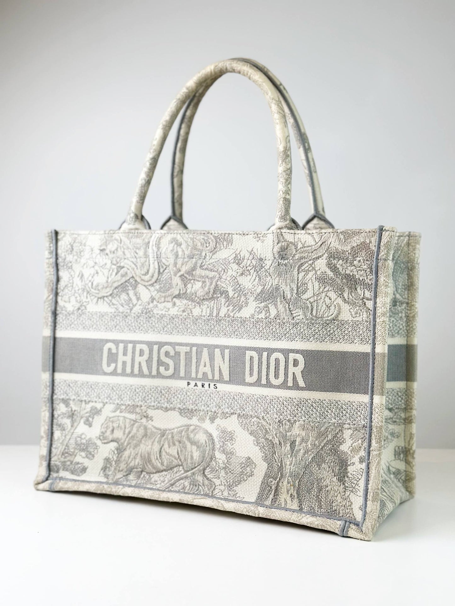 DIOR MEDIUM BOOK TOTE BAG