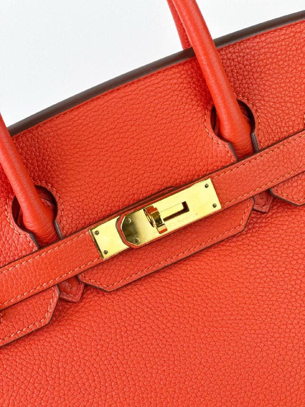 HERMES BIRKIN 30 CAPUCINE HANDBAG GHW