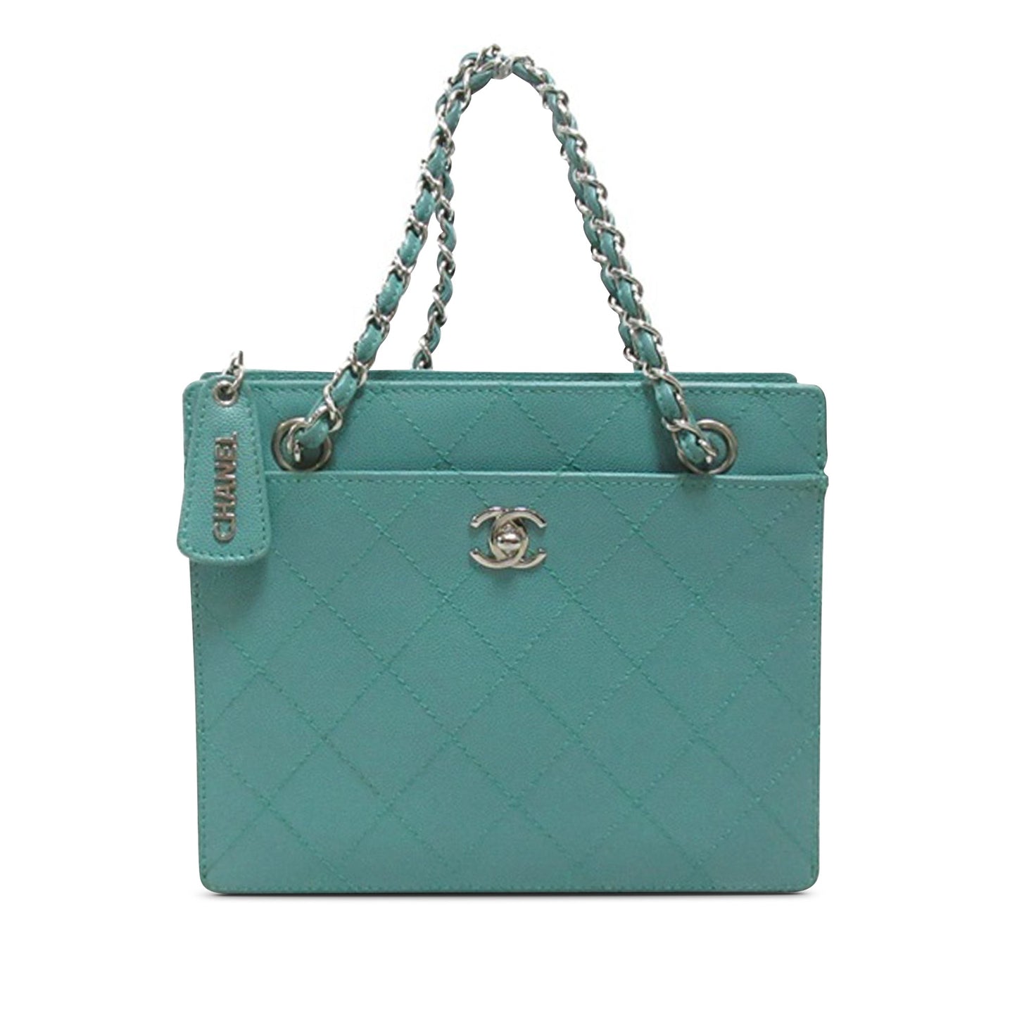 Chanel Handbag - Ewore Bags