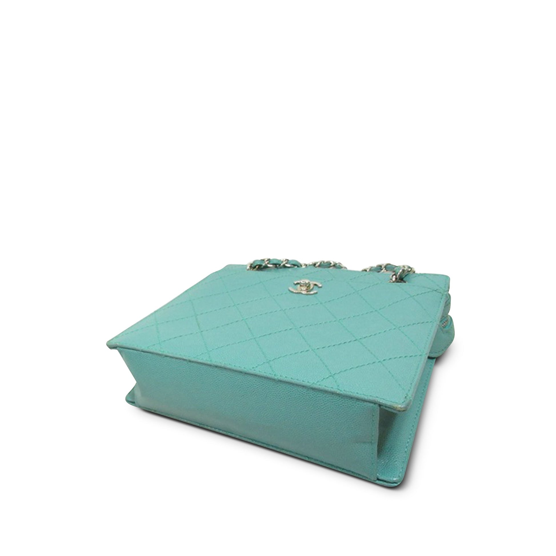 Chanel Handbag - Ewore Bags