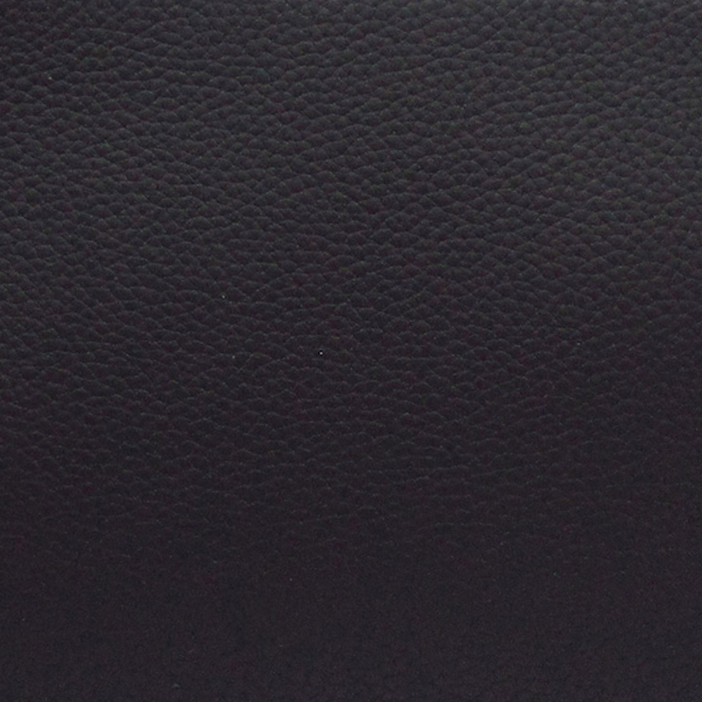 LOUIS VUITTON Alpha Wearable Wallet Crossbody Bag