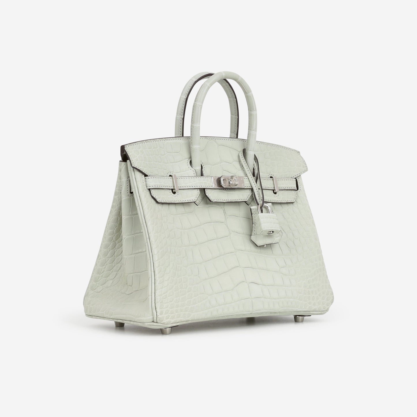 Hermès Birkin 25 - Gris Neve Matte Alligator | Palladium Hardware