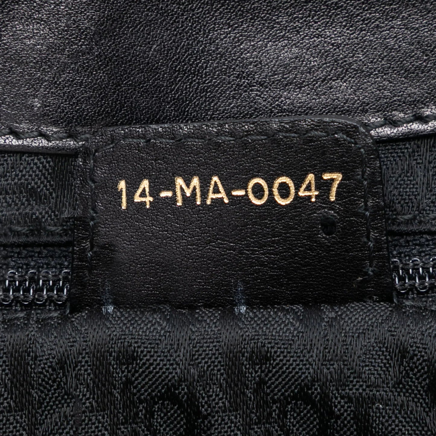 Black Dior Leather Jeanne Hobo