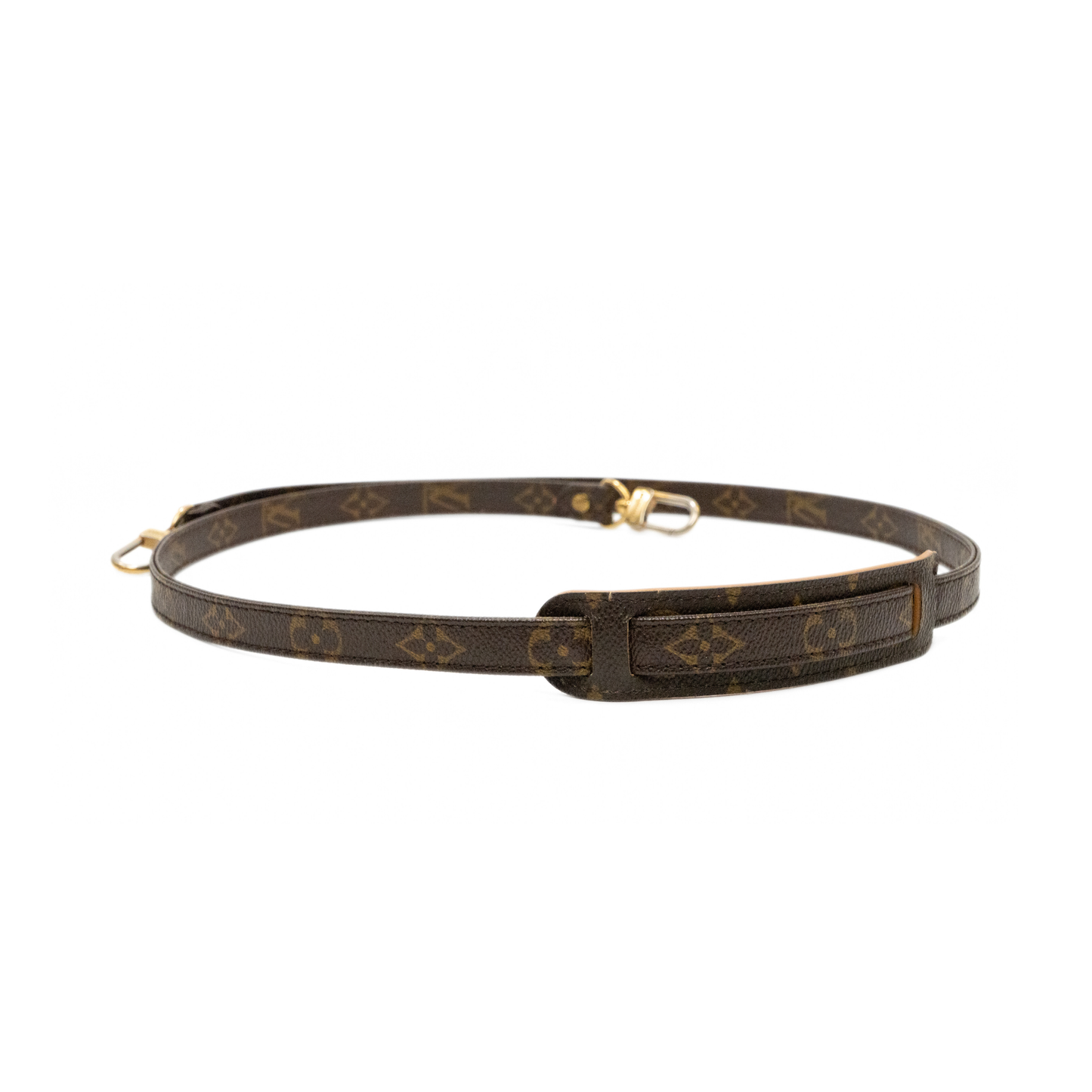 Louis Vuitton Bag Strap