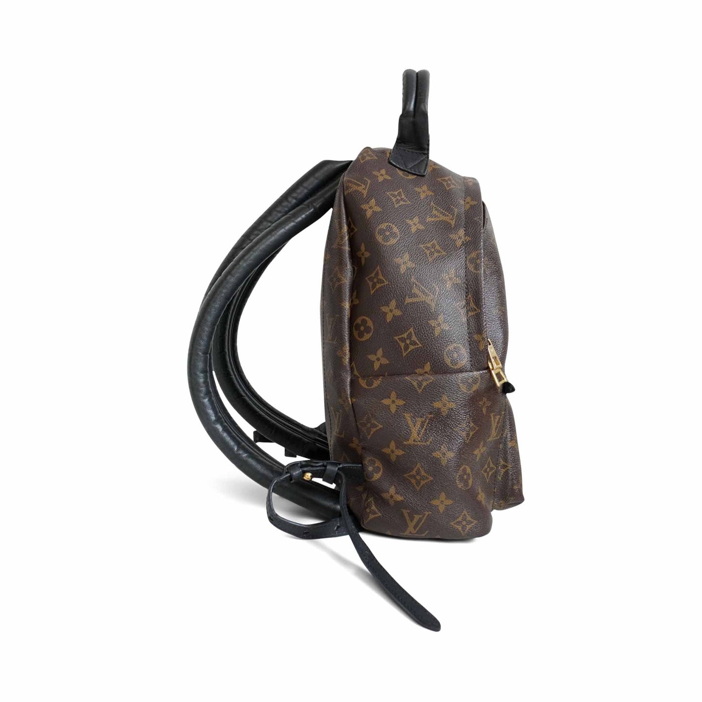 Louis Vuitton 'Palm Springs' Backpack
