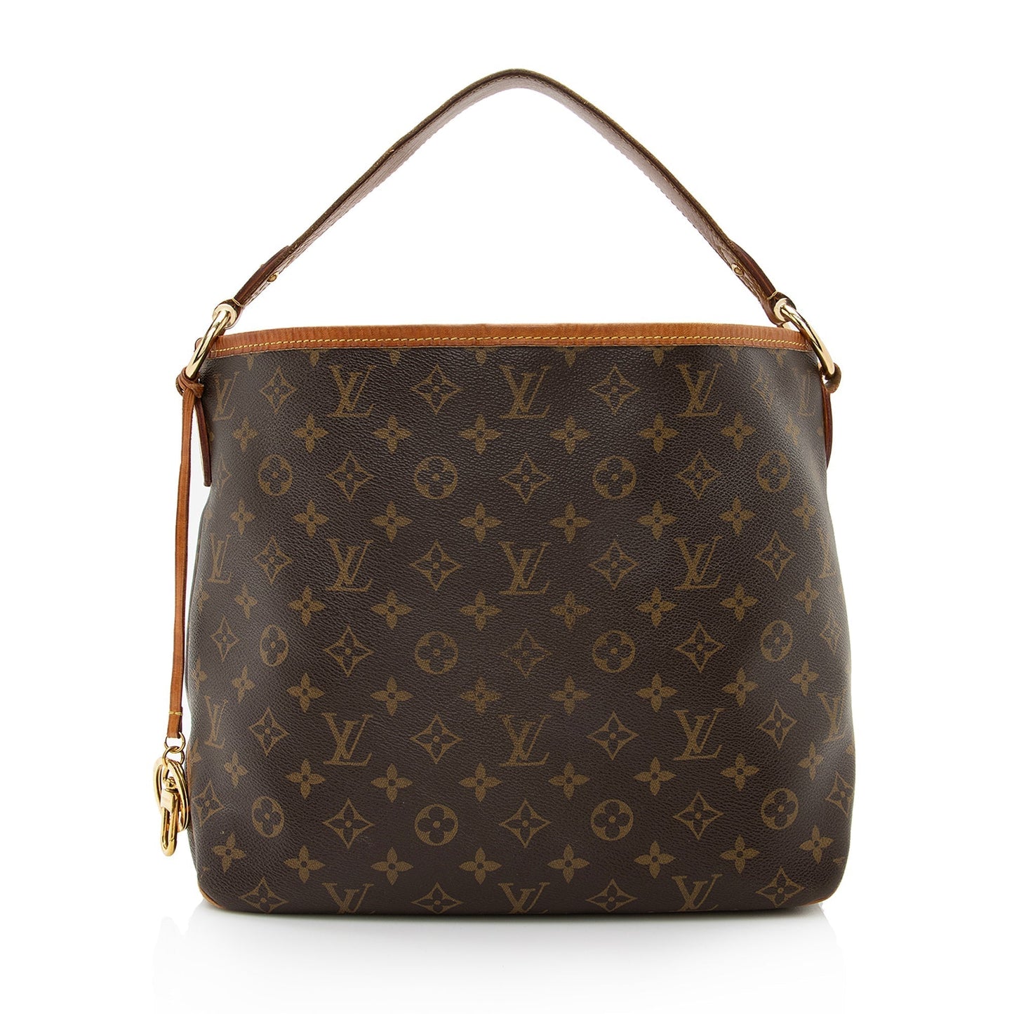 Louis Vuitton Monogram Canvas Delightful PM Shoulder Bag (SHF-22510)